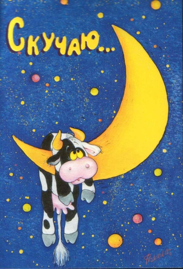 корова на луне
