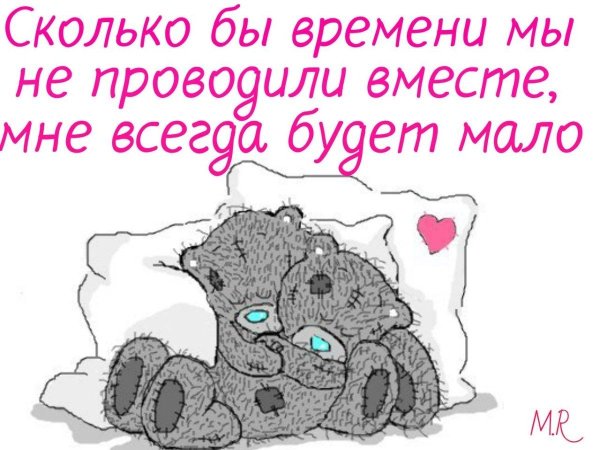 мишка тедди