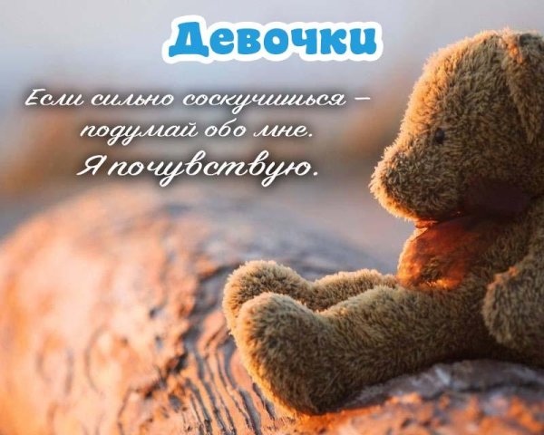 плюшевая мишка