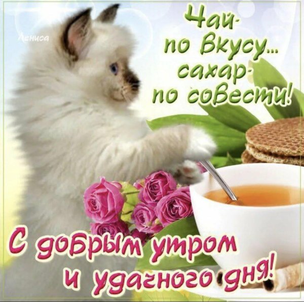 чай по вкусу сахар по совести доброе утро