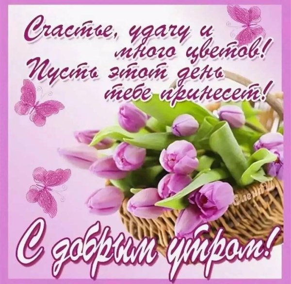 поздравление с добрым утром женщине красивые
