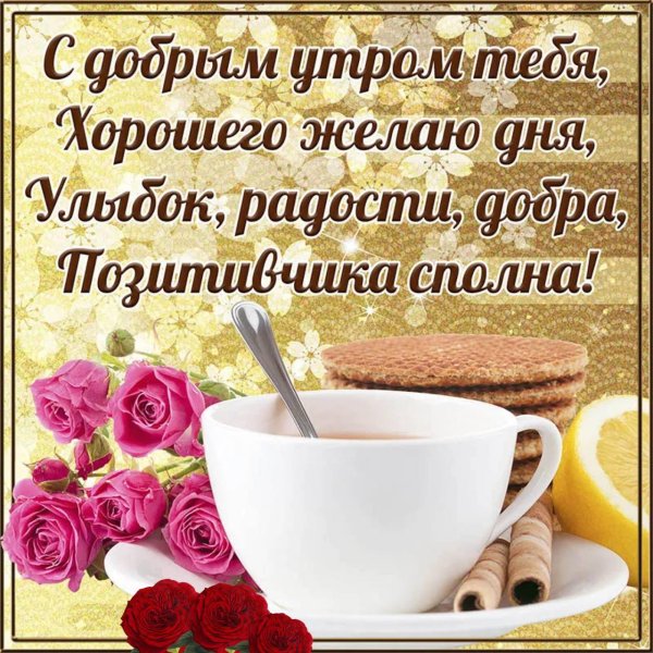 доброе утро и хорошего дня новые