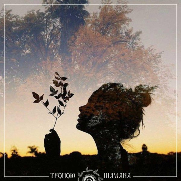 женские силуэты