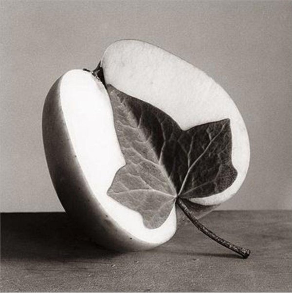 chema madoz испанский фотограф