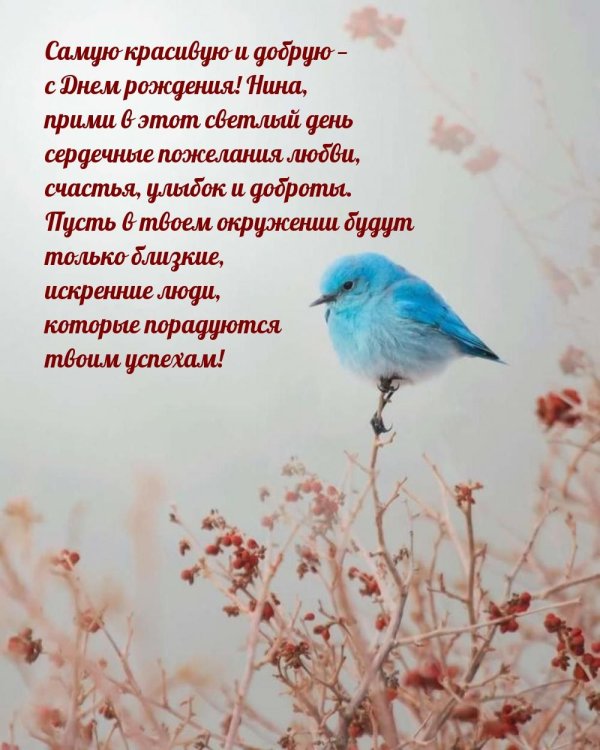 голубая птичка