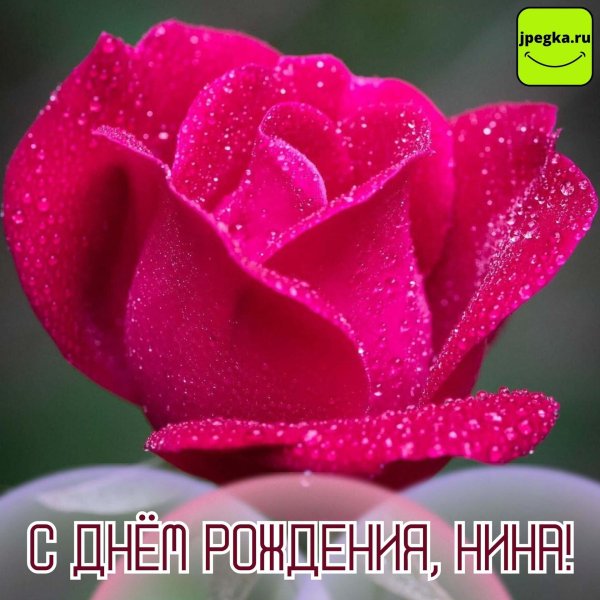 открытки для нины