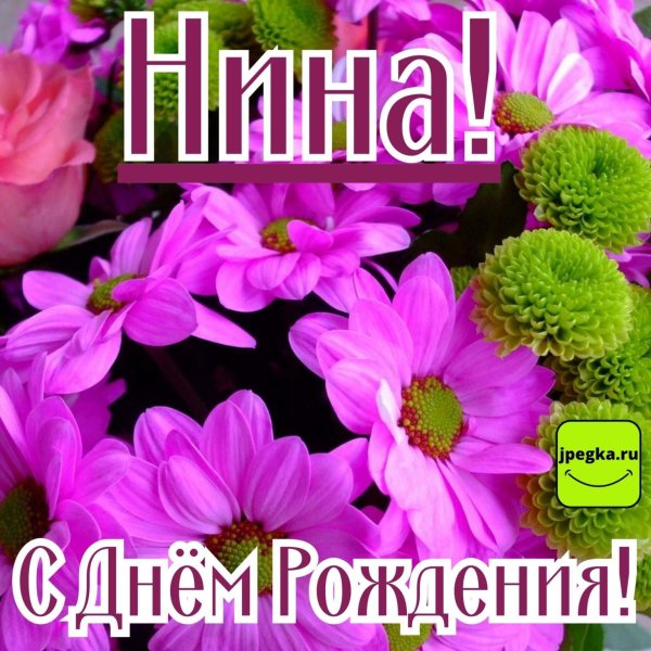 с днём рождения нина открытки красивые