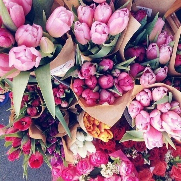 букет тюльпан