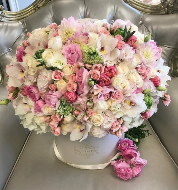 jadore les fleurs цветы