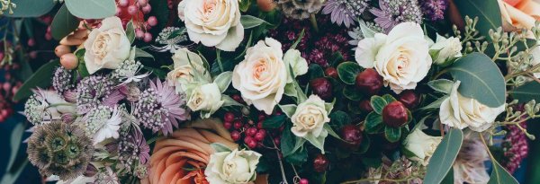 красивая цветы