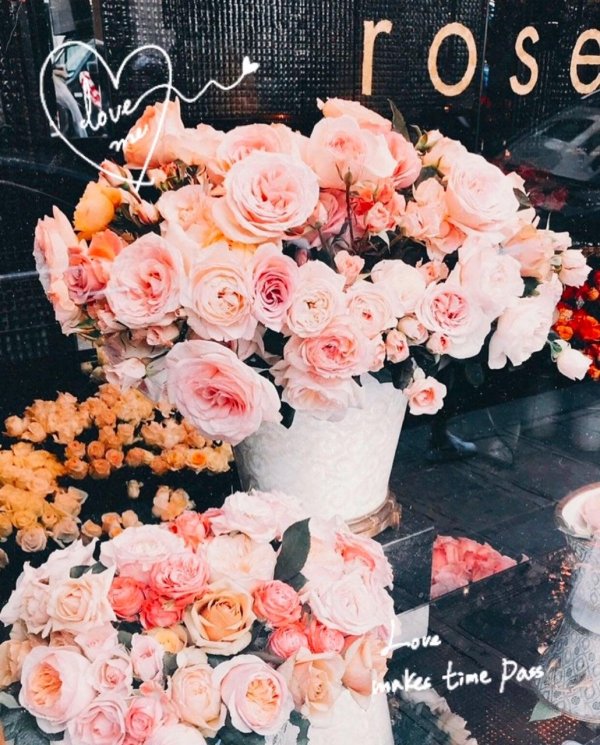 красивая цветок