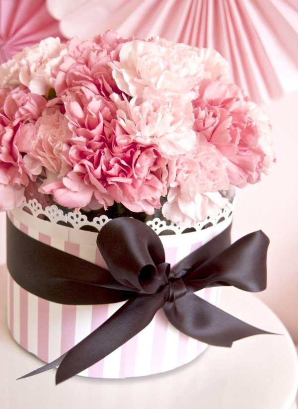 гвоздика розовая