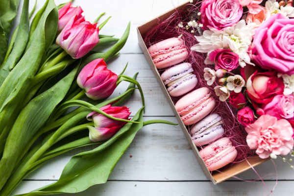 розовые тюльпаны