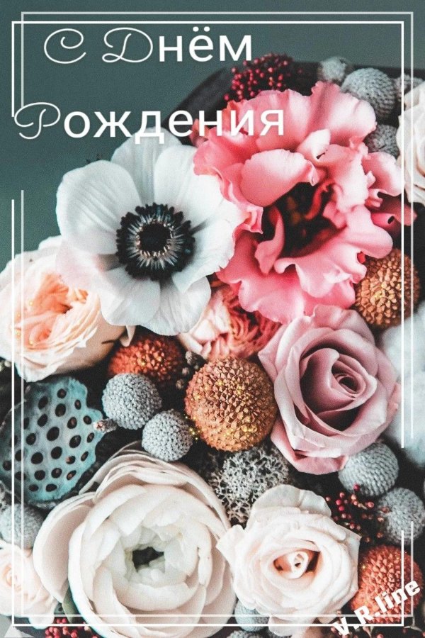 поздравительная открытка