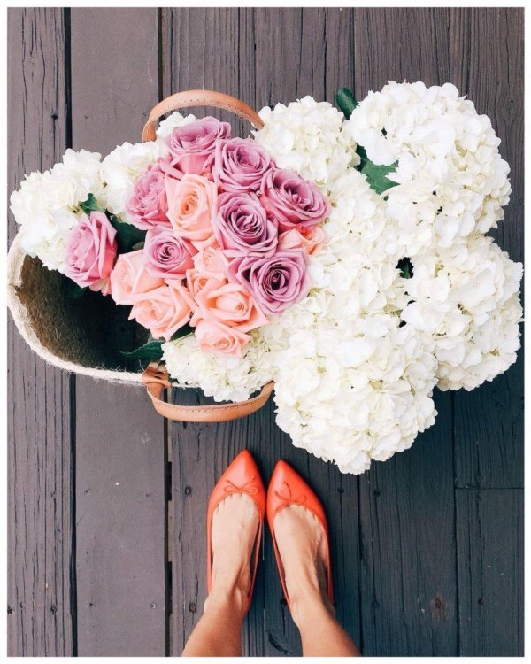 стильные цветы