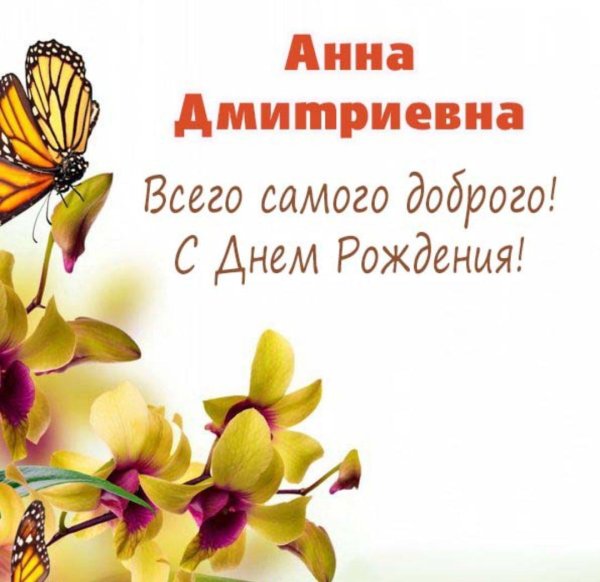 орхидеи бабочки