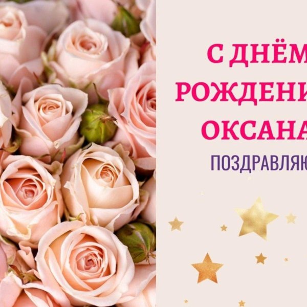 роза розовая