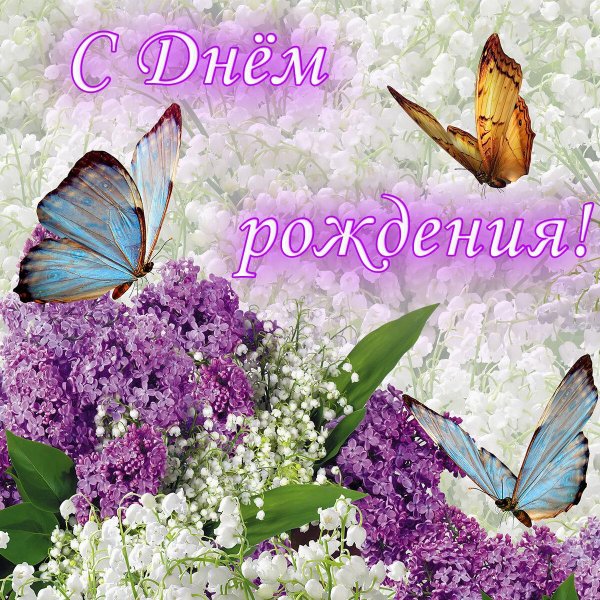 открытка с день рождения женщине красивые