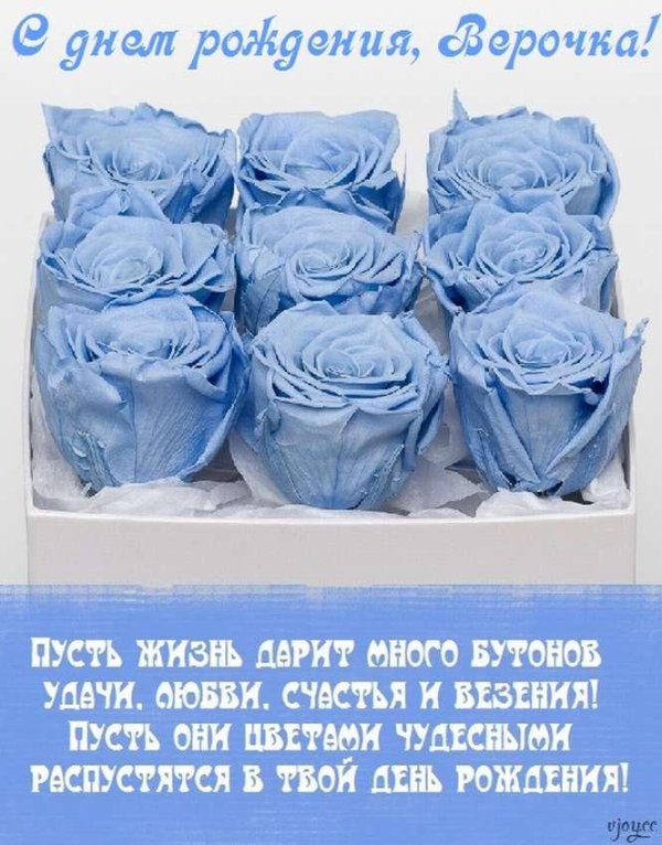 букет голубых роз