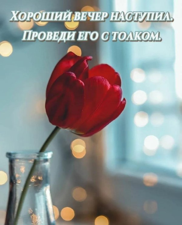 всем хорошего вечера