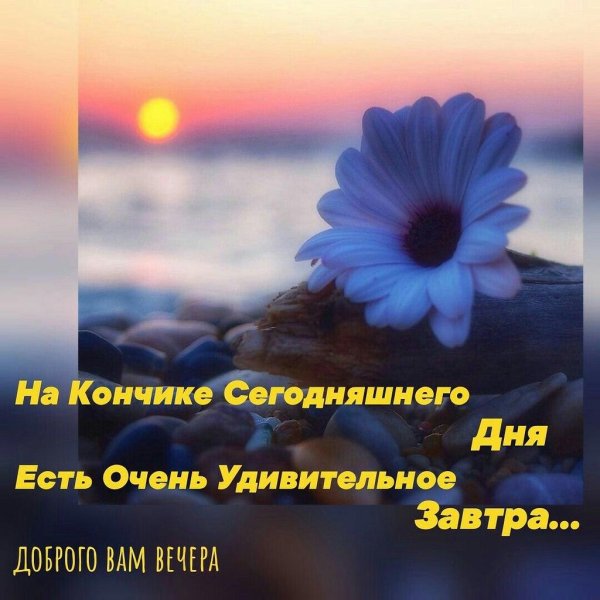 на кончике сегодняшнего дня