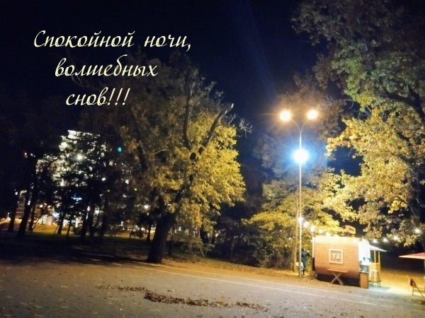 спокойная ночи