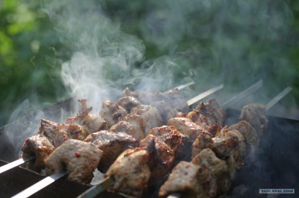 шашлычок горноалтайск