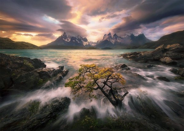 марк адамус фотограф