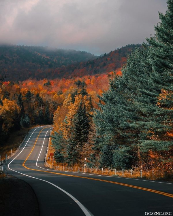 осенняя дорога