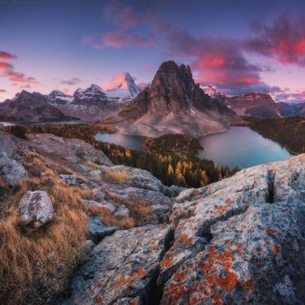 ассинибойн британская колумбия канада