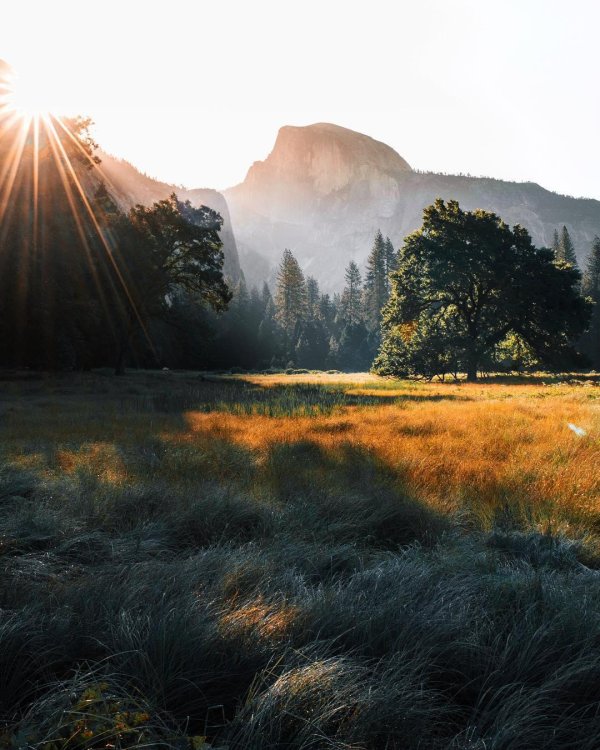 looking down yosemite valley california