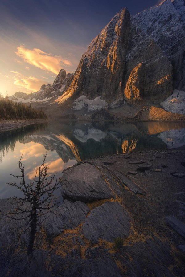 ассинибойн британская колумбия канада