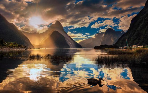 фьорд милфордсаунд в новой зеландии
