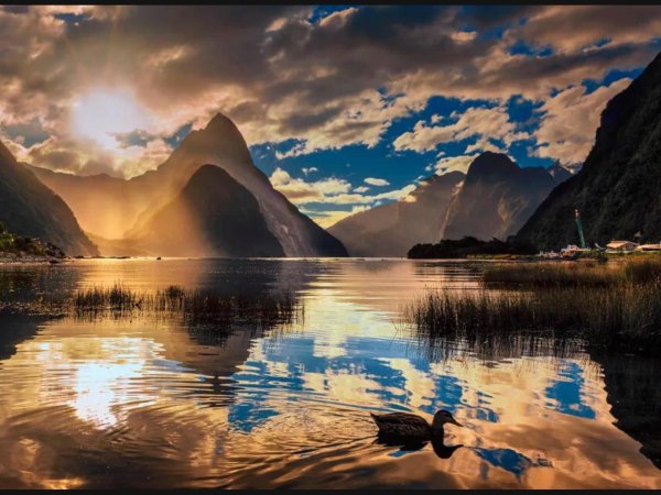 фьордленд новая зеландия