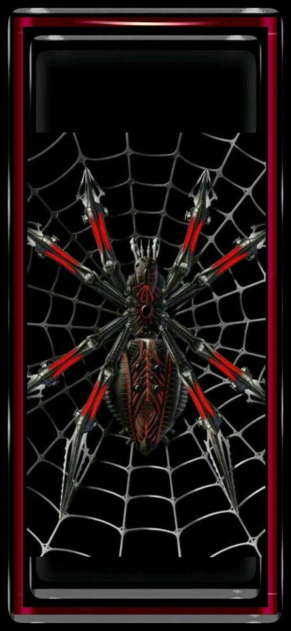 бионика паутина