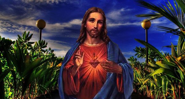 sagrado corazon de jesus