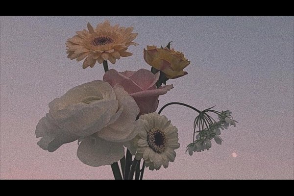 цветы разные