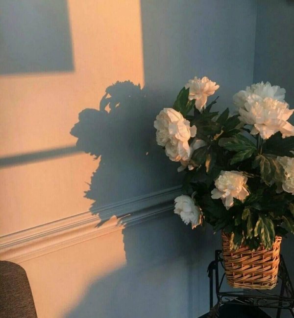 эстетика цветов