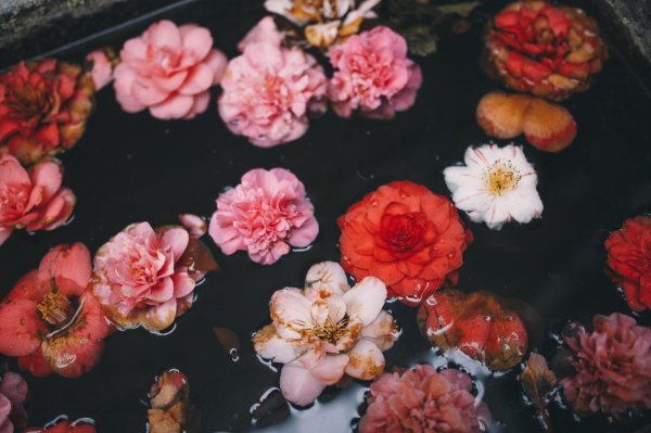 цветочки эстетика