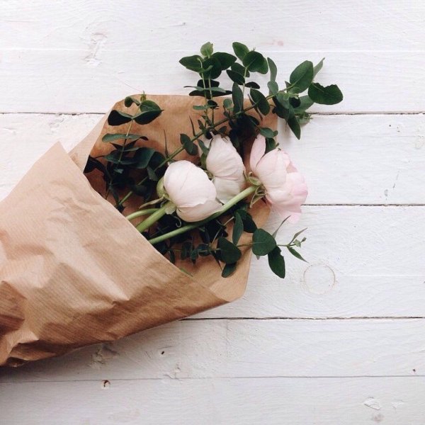 белые пионы