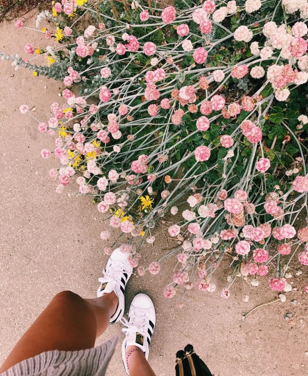 цветы модные