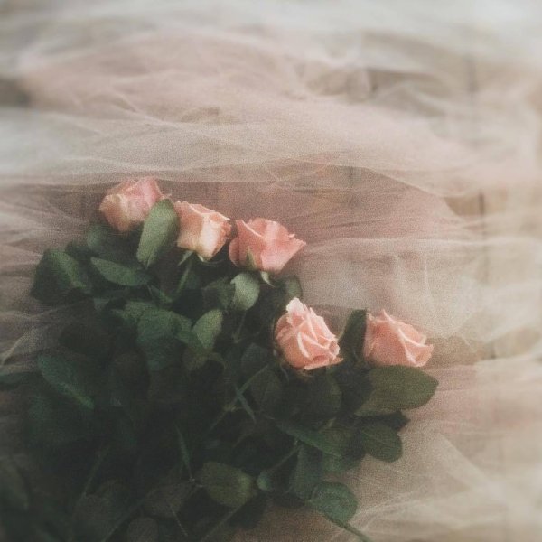 нежность эстетика