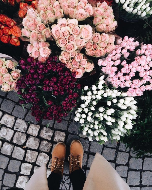 свежие цветы