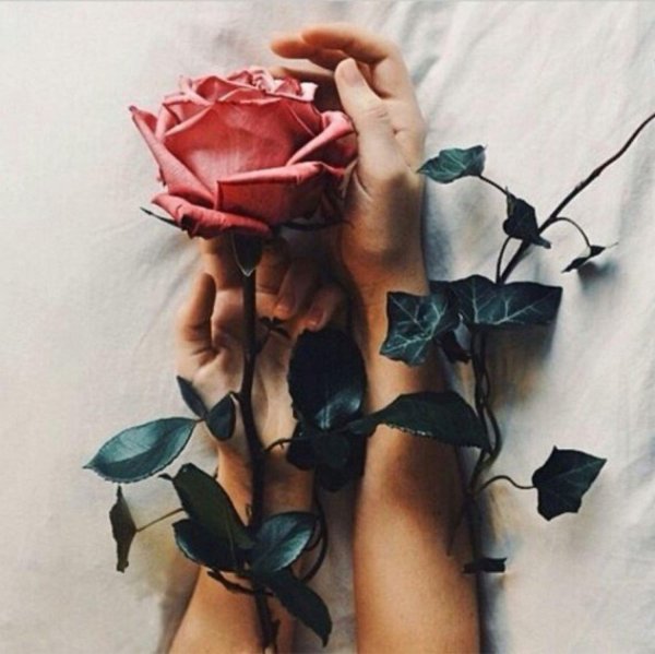 фотосессия с розой идеи