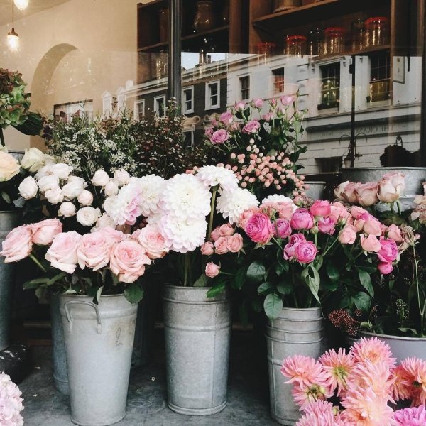 flower shop aesthetic