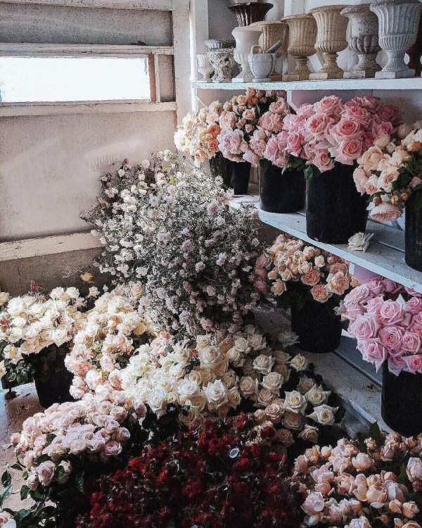 цветочная эстетика