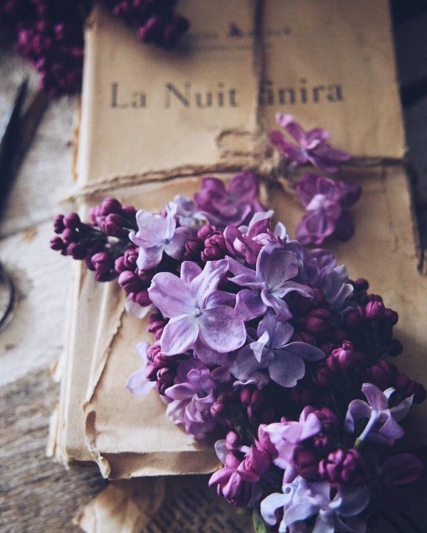 Эстетичные с цветами