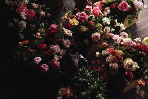 разбросанные цветы