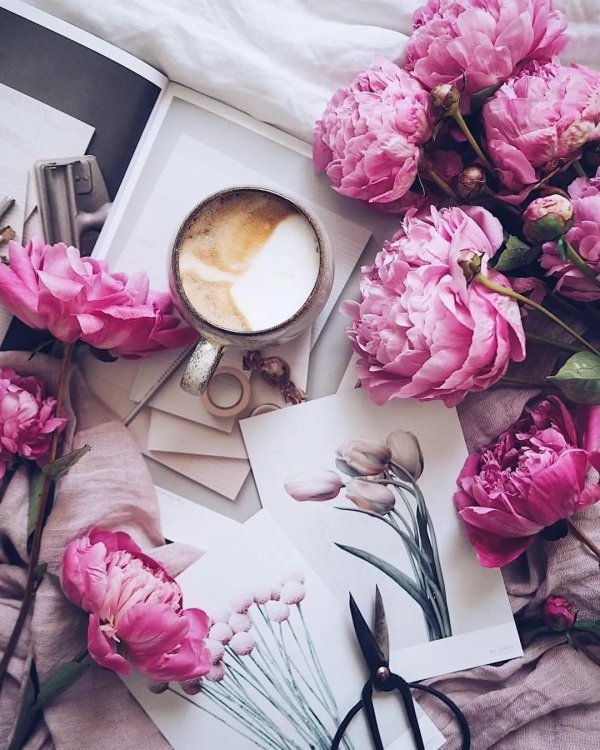 стильное доброе утро