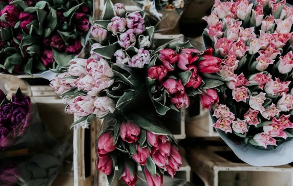 необычные тюльпаны